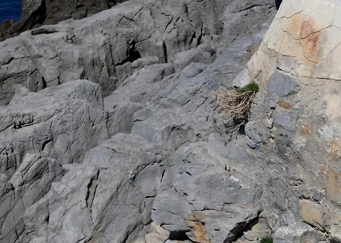 Terrazza Roberto 아파트 *