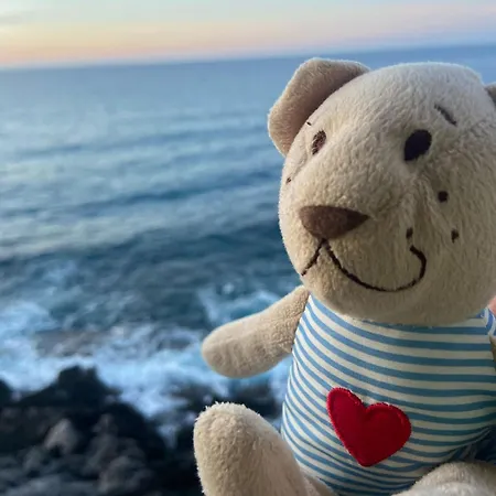 Terrazza Roberto Lejlighed *