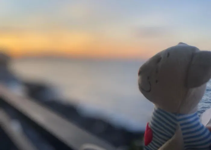 Terrazza Roberto Lejlighed